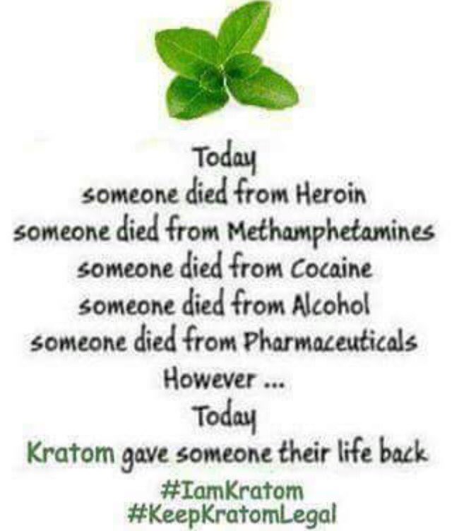 cdubuisson65's tweet photo. #noonediedfromkratomtoday https://t.co/P2uBtyy4P0