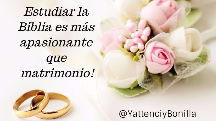 yattenciy's tweet photo. https://t.co/c1sId2rgR2