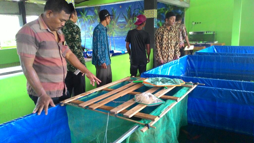 Artman_DP's tweet photo. Pembesaran ikan hias Koi di ds.Talun, kec.Kayen, Pati https://t.co/gSgAazn0Wk