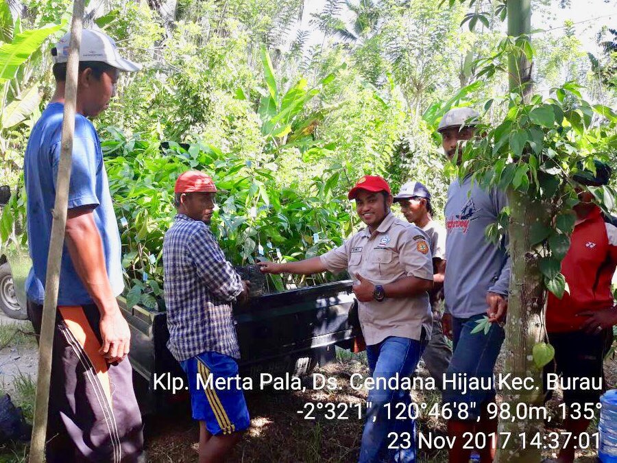 fkp2indonesia's tweet photo. Penyaluran dan pengawalan bantuan bibit sambung pucuk KAKAO kpda poktan Merta Pala, Ds. Cendana Hijau, Kec. Burau - Sulsel. Semngat trus rekan2 TKPPLP Sulsel @Amran_Sulaiman1 @asmanabnur2016 @badansdm @ditjenbun #perkebunanjaya #tkpplpsulsel #fkp2i https://t.co/obAOSfhTia