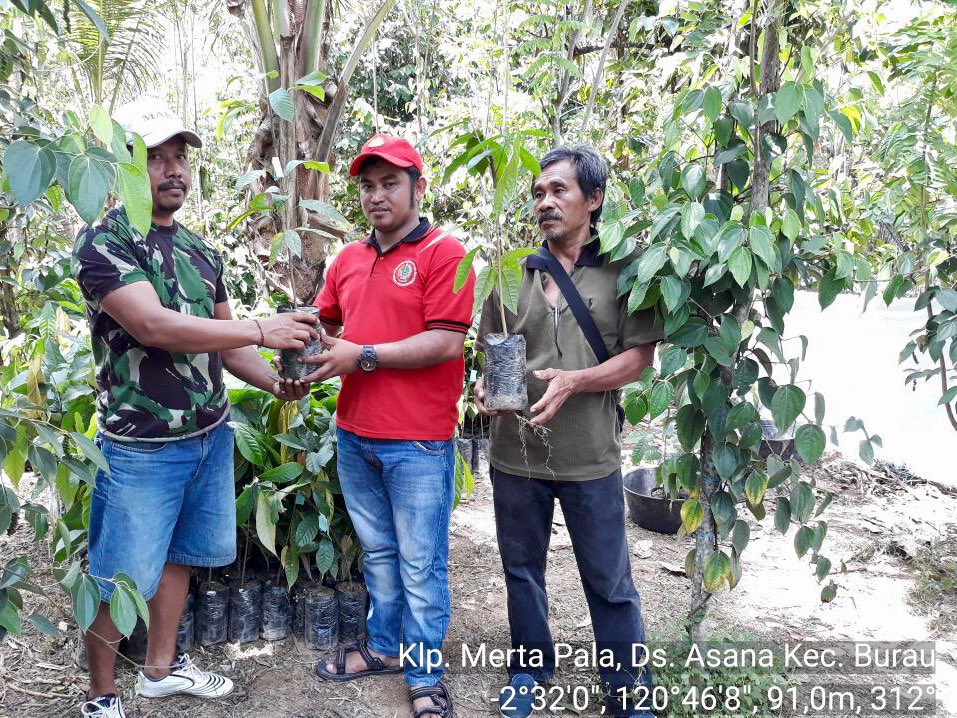 fkp2indonesia's tweet photo. Penyaluran dan pengawalan bantuan bibit sambung pucuk KAKAO kpda poktan Merta Pala, Ds. Cendana Hijau, Kec. Burau - Sulsel. Semngat trus rekan2 TKPPLP Sulsel @Amran_Sulaiman1 @asmanabnur2016 @badansdm @ditjenbun #perkebunanjaya #tkpplpsulsel #fkp2i https://t.co/obAOSfhTia