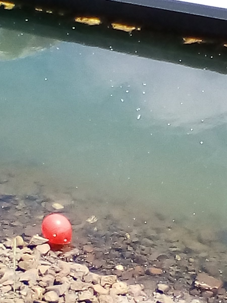 EricaLJudd's tweet photo. ... Possible Pennywise sighting in Tasmania. @StephenKing please advise. #nope #weallfloatdownhere https://t.co/cvGvH8dRUV