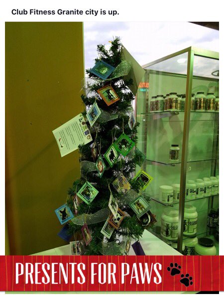 RuHawk1's tweet photo. Love seeing all the #PresentsForPaws trees go up! The elves are setting up donation boxes at businesses around town. https://t.co/GjxJwKHVXW https://t.co/qoc7lFiMPB