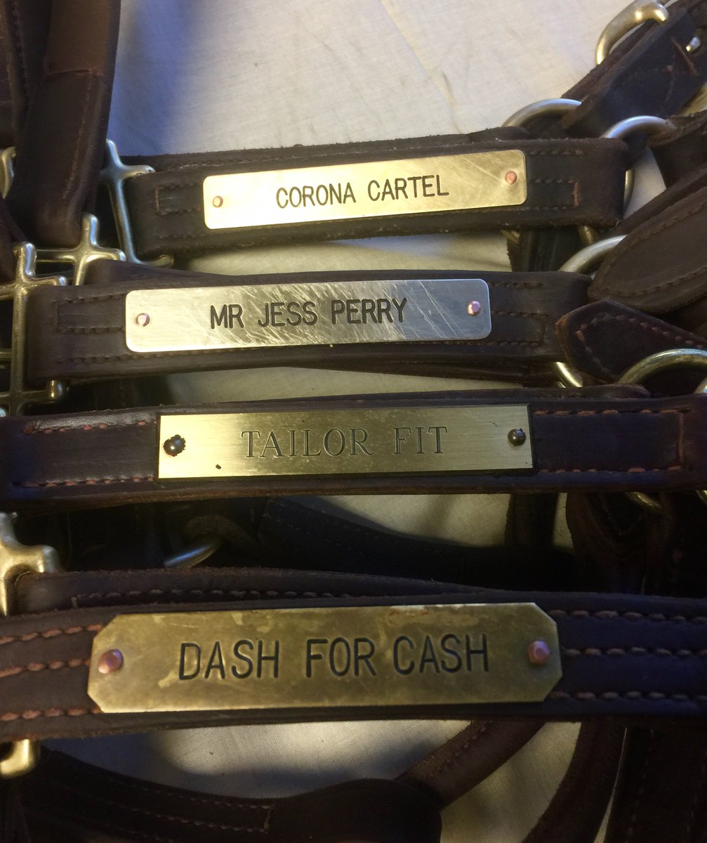 RMTCnet's tweet photo. #1 leading living QH sire #CoronaCartel, Champion & #3 all-time leading QH sire #MrJessPerry, 2x QH World Champ & millionaire #TailorFit, & the legendary AQHA Hall of Famer, all-time leading sire & 2x World Champ #DashForCash! Bid here: https://t.co/edschY5oEC @AQHARacing @AQHA https://t.co/xqvv2gWoBD