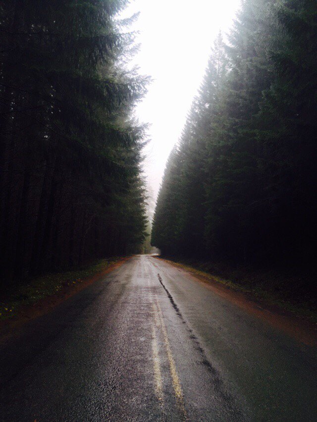 InfiniteOcean13's tweet photo. Forest roads can be so Dreamy &amp; Majestic🌲 https://t.co/nonEhwoyml