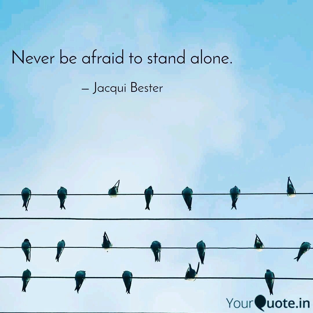 Never be afraid #sabloggerscafe #dailyquote #liveyourlife #conquer #youarew...