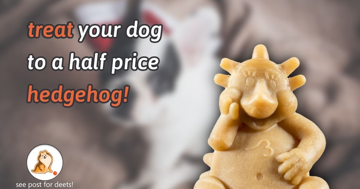 getfetchbox's tweet image. Our favourite little dog treat is currently going walkies out the door for half price!
Get 50% off Whimzees Dental Hedgehog Large 60g plus great discounts on all Bundles that include it!!
Sale ends December 17 or while stocks last - be quick!
#fetchboxpack #fetchbox #hedgehog