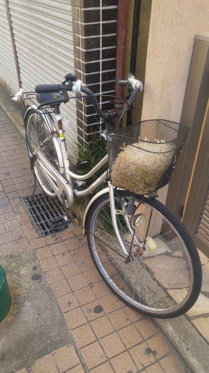 konnsome_sari's tweet photo. 一瞬目を疑いました。
これ全部もやしですね... https://t.co/KOsEA7loCF