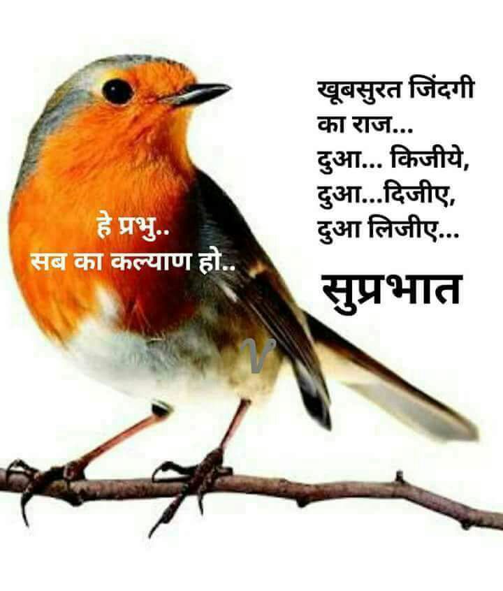mdimplevp's tweet photo. https://t.co/rJWyWchoTJ