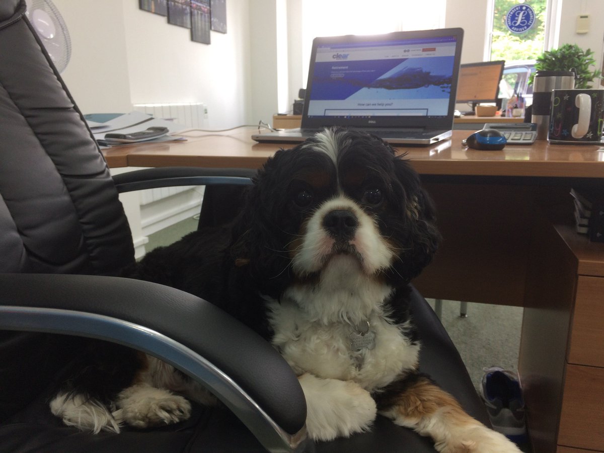 ClearIFA's tweet image. Excellent paraplanning opportunity!  linkedin.com/pulse/excellen…  If you come and join us, you'll meet out new Head of Strategic Governance