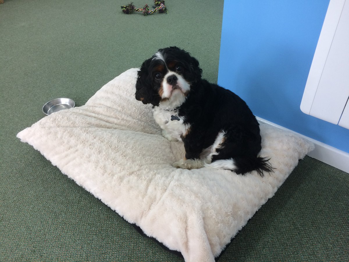 ClearIFA's tweet image. Excellent paraplanning opportunity!  linkedin.com/pulse/excellen…  If you come and join us, you'll meet out new Head of Strategic Governance