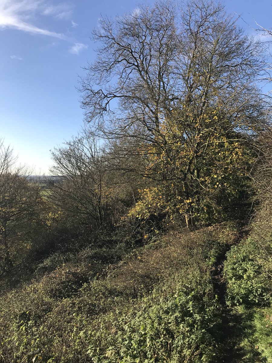 RobStevenson6's tweet photo. @BSDCofficial @bsdcSport L1 Course having a goood go a navigation skill, #goodweatherday somewhere near Burton โwe think!!!โ https://t.co/UqH2weEu3V