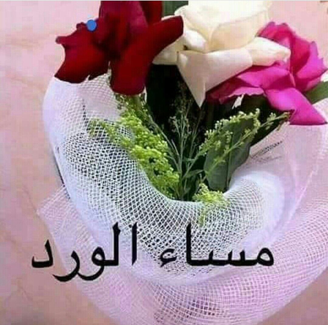8XYFliHCk8gLokU's tweet photo. للمساء حكايةْ ...تخبرنا أنَّ الأماني مهما تأجلتْ ..سيأتي فجرها لتشرقْ ..فاستبشروا وتفاءلوا ..
 
 مساكمْ تفاؤلْ وأملْ وسعادةْ... ♥♡ https://t.co/AmmfUoPiWm