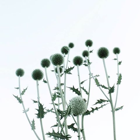 OxoTowerWharf's tweet photo. Gift your arty loved ones a contemporary artwork to add to their collection such as @skylarkgallery's @colinpearceart's striking #fineart photographs. Find them at Unit 1.09 Skylark Galleries 2: https://t.co/MO2XmYNs1b
#christmasshopping #wishlist #giftguide https://t.co/LJRAkNNDX8