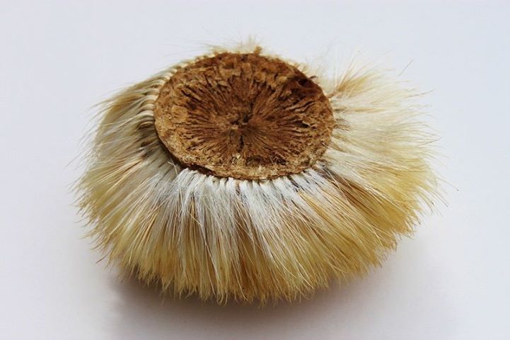 Gift your arty loved ones a contemporary artwork to add to their collection such as <a href="/skylarkgallery/">Skylark Galleries</a>'s @colinpearceart's striking #fineart photographs. Find them at Unit 1.09 Skylark Galleries 2: oxotower.co.uk/who/skylark/
#christmasshopping #wishlist #giftguide