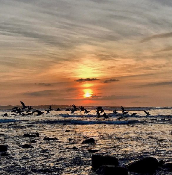 wildatlanticway's tweet photo. Sunset on Strandhill, Sligo. Where have you seen your most beautiful #WildAtlanticWay sunset? Let us know! Pic @keatso64 https://t.co/IIWSeUwP68