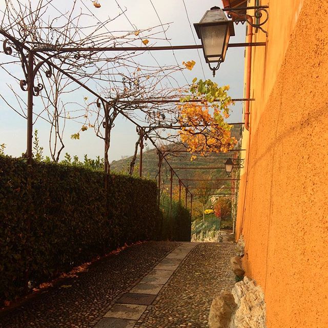 Lombardiadv's tweet photo. Scorcio di Montevecchia 
Buongiorno #Lombardia
#lombardiadavedere
foto di  📷: @demetra_sun26 https://t.co/t50Z0UlE5L