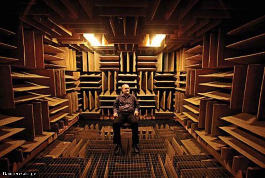 究極の無音空間にあなたは耐えられるか？　米研究所の反響を99.99%を吸収する無響室がすごい