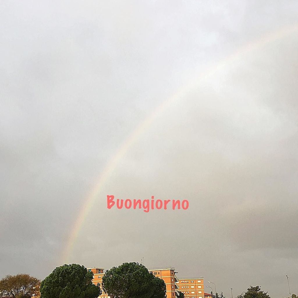 LeRicettediFra's tweet photo. Qui ci siamo svegliati con la pioggia ma un #arcobaleno fa capolino e la giornata inizia così !!!! Buon mercoledì a tutti❤️
#lericettedifrancesca #foodbloggeritalia #vitadafoodblogger #mercoledi #roma https://t.co/7djWVomwLc