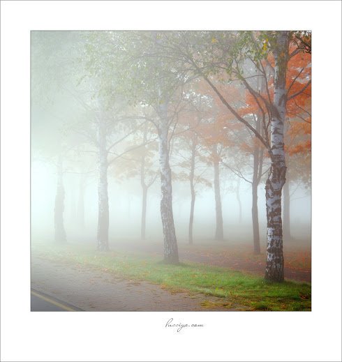 Autumn fog.