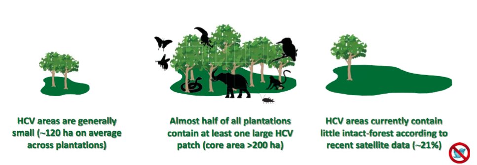 Looking at HCV area size and quality, raises the question 'are #HCV areas large enough and of good enough quality to support #biodiversity?' #RT15