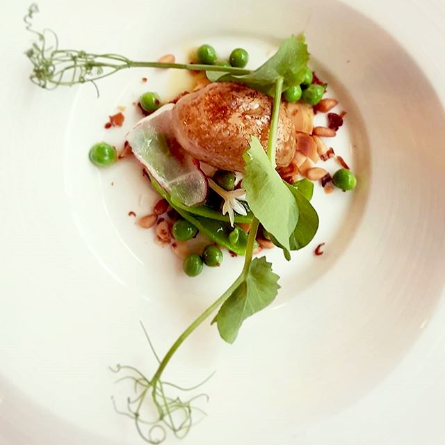 Lilianfels's tweet photo. An irresistible Degustation experience at Darleys captured by @chinos_and_cappuccinos 
#dégustation #artisanal #finedining #foodie #restaurants #bluemountainsrestaurants https://t.co/vLn9prWaah
