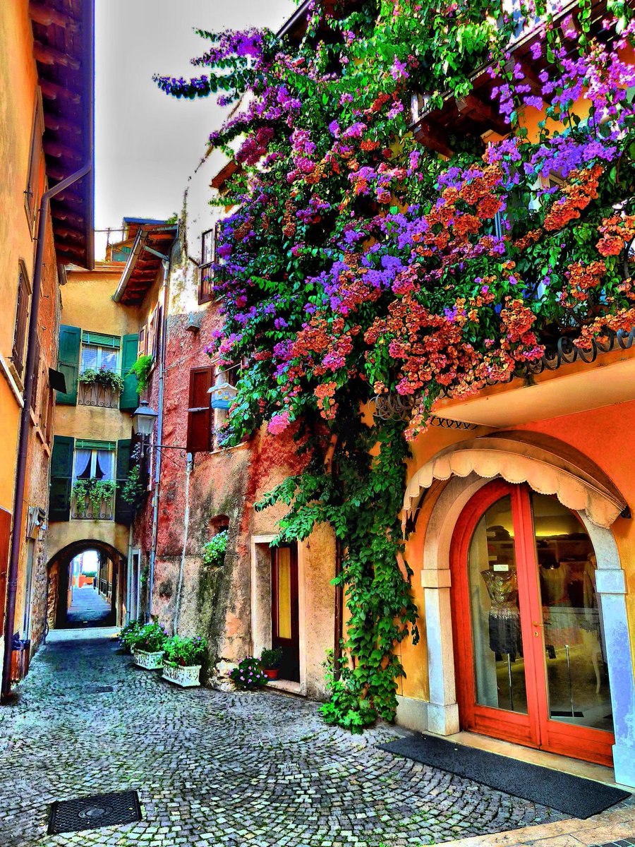 Lago di Garda #Italy