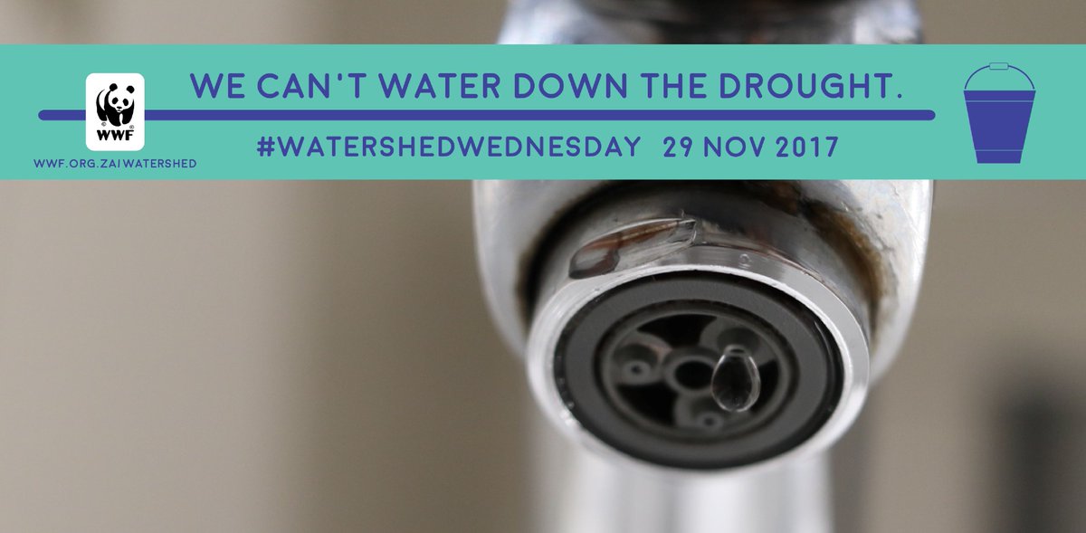 What will you do when #DayZero comes and #CapeTown's taps run dry? 🚱 We all need to be part of this extreme water saving effort. #WatershedWednesday <a href="/WWFSouthAfrica/">WWF South Africa</a> #SaveWater #CapeTownDrought aquarium.co.za/blog/entry/wat…