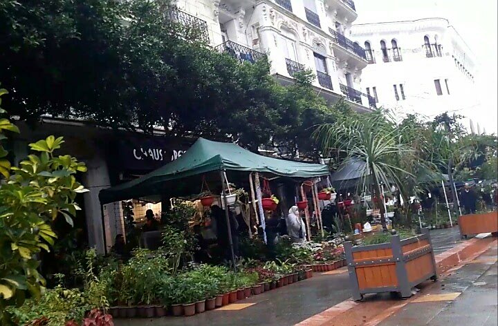 _sarah_zi's tweet photo. #Algeria #nature #tourisme #photography #Algérie #DZ #Paysage #photo #Voyage #Alger #picture #DiscoverAlgeria #السياحة #travel #السياحة_في_الجزائر #اكتشف_الجزائر #Voyage #Discover https://t.co/Ba8JXPETnY