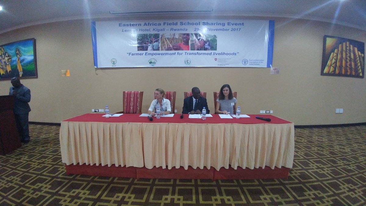eafieldschools's tweet photo. Currently going on in Kigali. The regional Field school sharing event.
#FieldSchoolsFirst https://t.co/oo0BEpA3zq