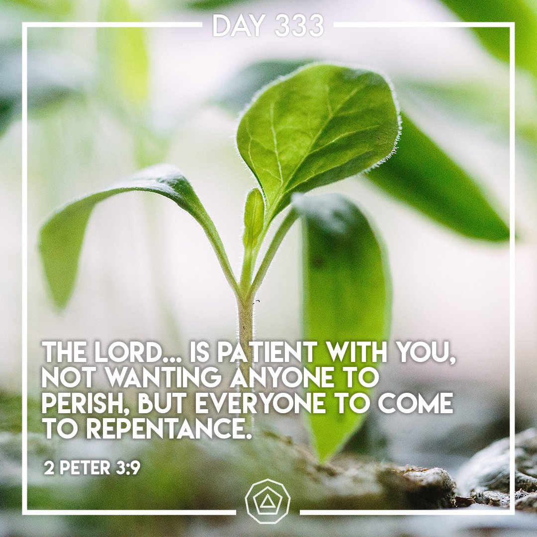 alpha_bnap's tweet photo. Day 333 #VerseOfTheDay #BiOY https://t.co/FkRTTWmucf