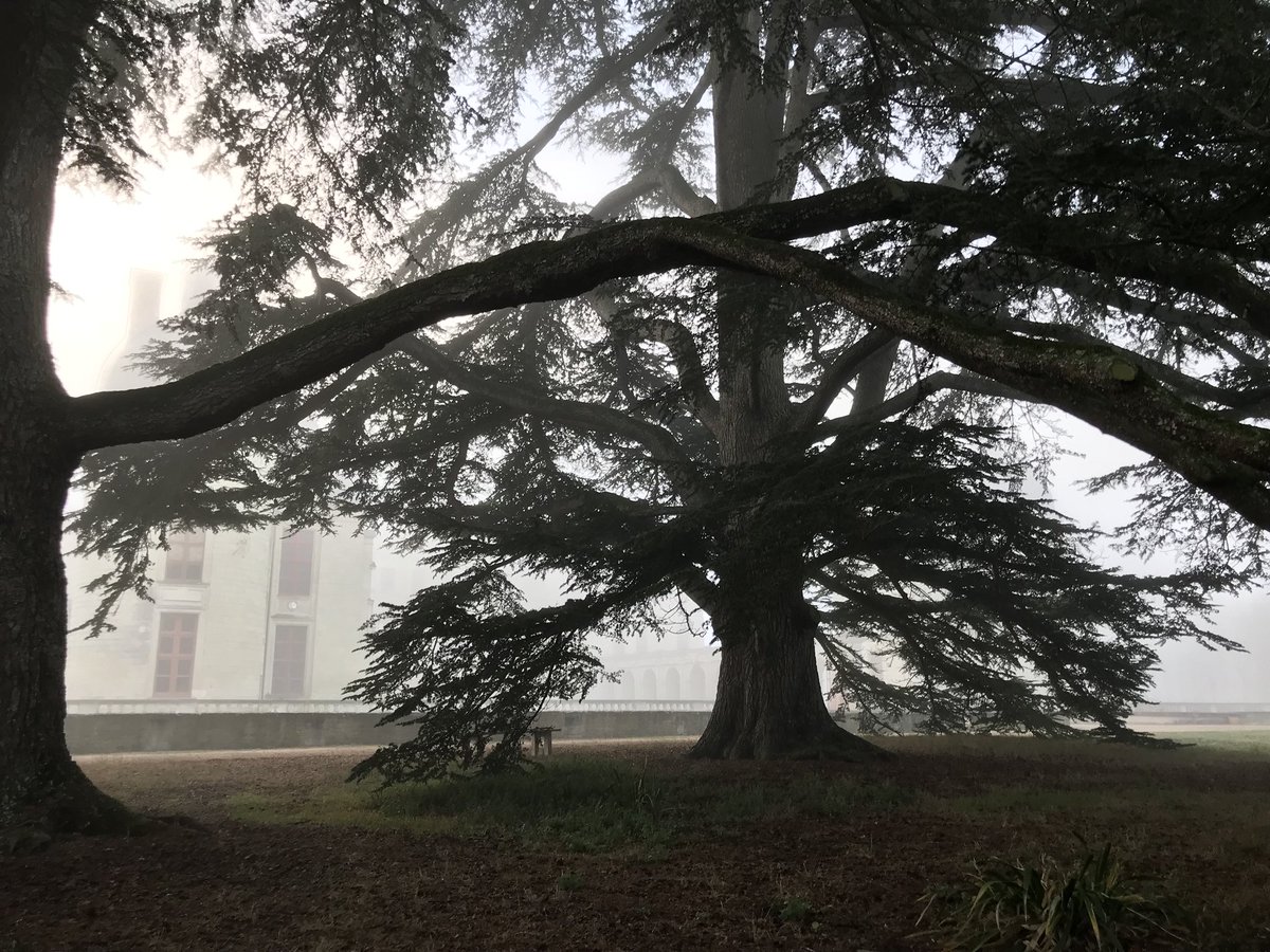 ChateauOiron's tweet photo. Un temps hivernal dans la campagne et sur le château de #Oiron ! https://t.co/EfKG6w5559