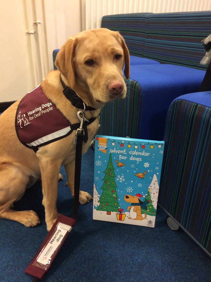 PrincessZaraBPS's tweet image. I’m such a lucky princess. @SigningStitcher won’t let me open it yet!! Thank you @autumnbliss70 xxx