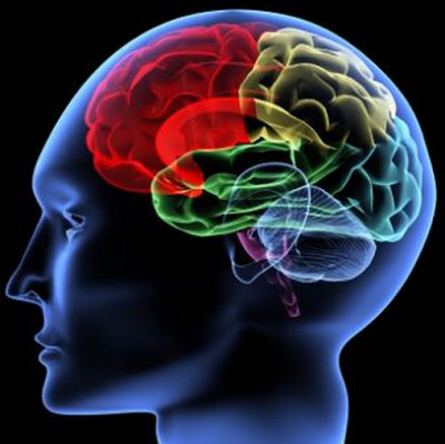 CarverJohns's tweet photo. Delta 9 THC Tetrahydrocannabinol Sparks Positive Brain Activity

https://t.co/v6c4NMX2jv

#MMJ and #BrainHealth https://t.co/NpeFvCB0eC
