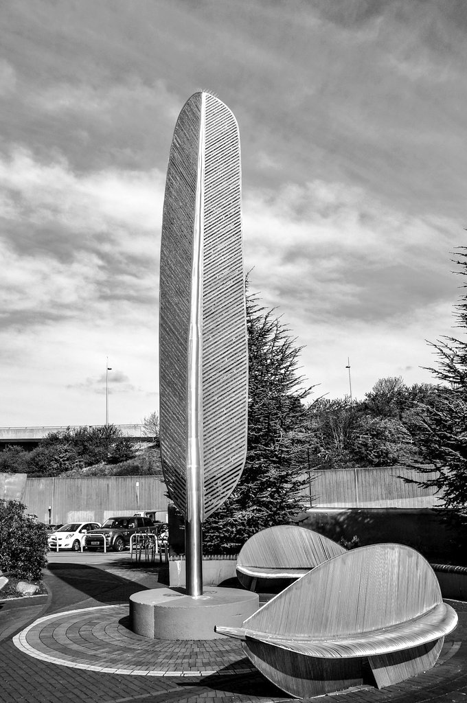 sotonmono tweet media