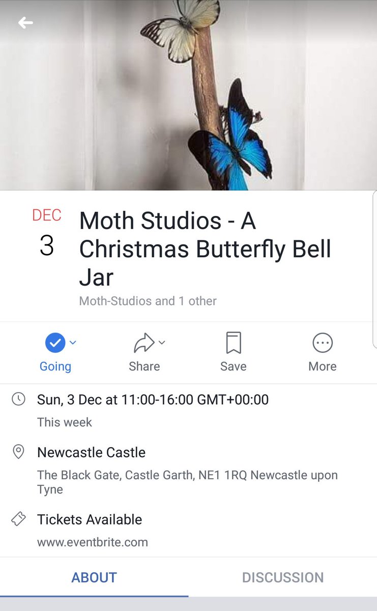MOTHstudios's tweet photo. Last 2 remaining tickets!! 🌟🌟🌟
THIS Sunday @NewcastleCastle let's get Christmassy! 🎄🎁
https://t.co/utEHaTkYjN
#mothstudios #entomology #Christmas #northeasthour #Newcastle https://t.co/nvt93aQUAQ