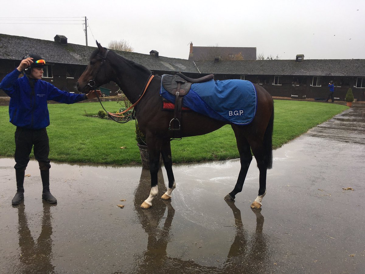 bpowell13's tweet photo. Great to get confirmation that The Bruyne Horse has been accepted to race in Dubai this winter. @DRC_Meydan https://t.co/lzYRQRr96O