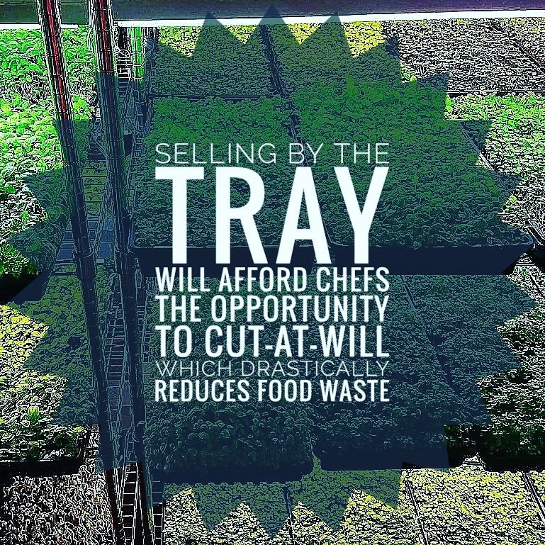 IronCityOrganic's tweet photo. Provide superior nutritional value and reduce food waste. That's our mission. #ironcityorganics  #nutrition #organic #nongmo #vegan #vegetarian #farmtotable  #foodblogger #microgreens #veggies #plantbased #foodwaste #healthy #environment https://t.co/gMaJAtUaUt