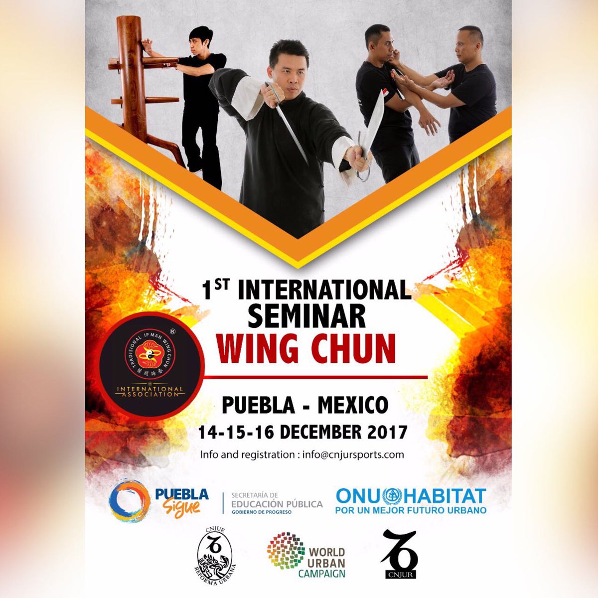 Tradisional Ip Man Wing Chun tweet media