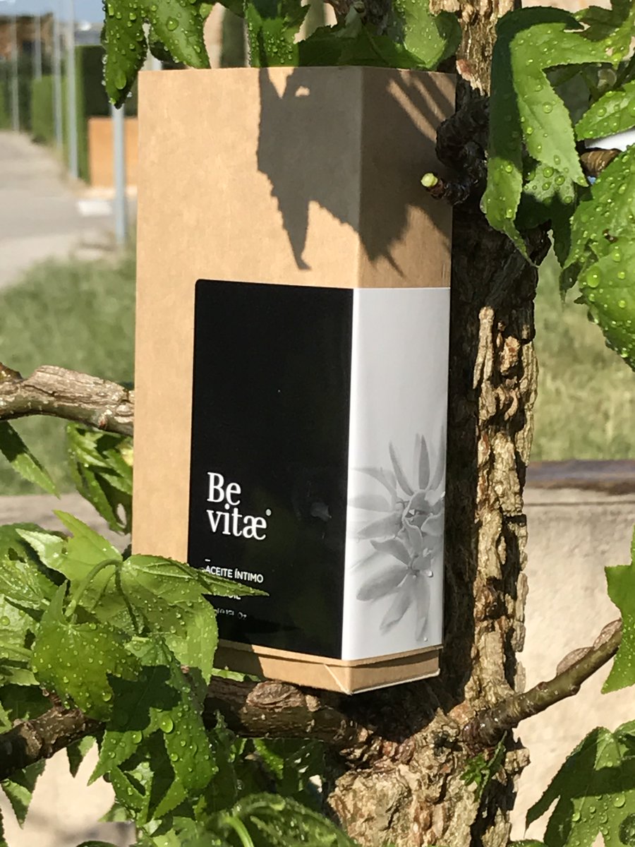 be_vitae's tweet photo. Un soplo de naturaleza 🌱

#bevitae #bevitaeaceiteíntimo #natural #cosméticanatural https://t.co/I8R8blj8LF