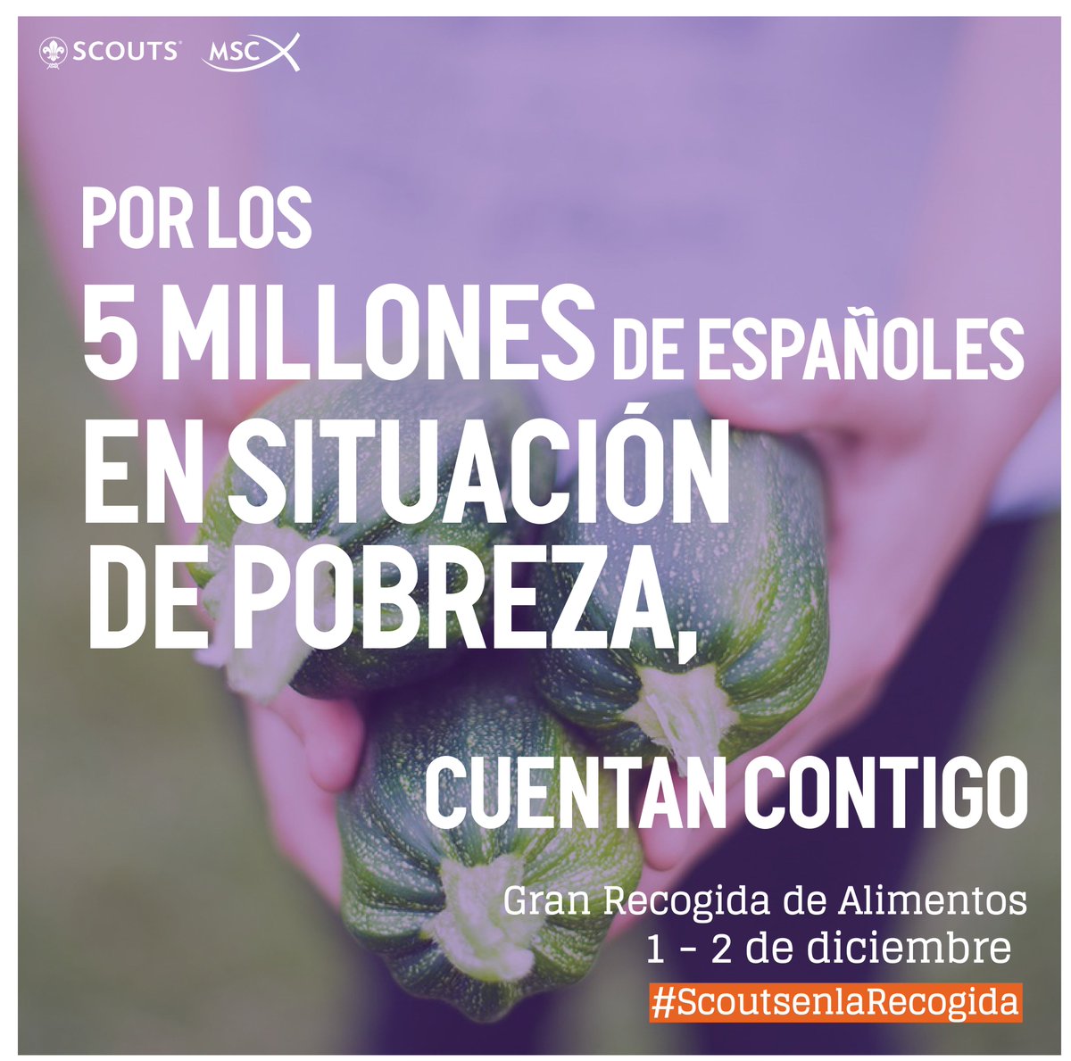 En España, aún hay muchas familias que están pasando penuria alimenticia en nuestro país. Haz lo posible para evitarlo. Participa en la 5ª Gran Recogida #ScoutsenlaRecogida --> goo.gl/QvQR12