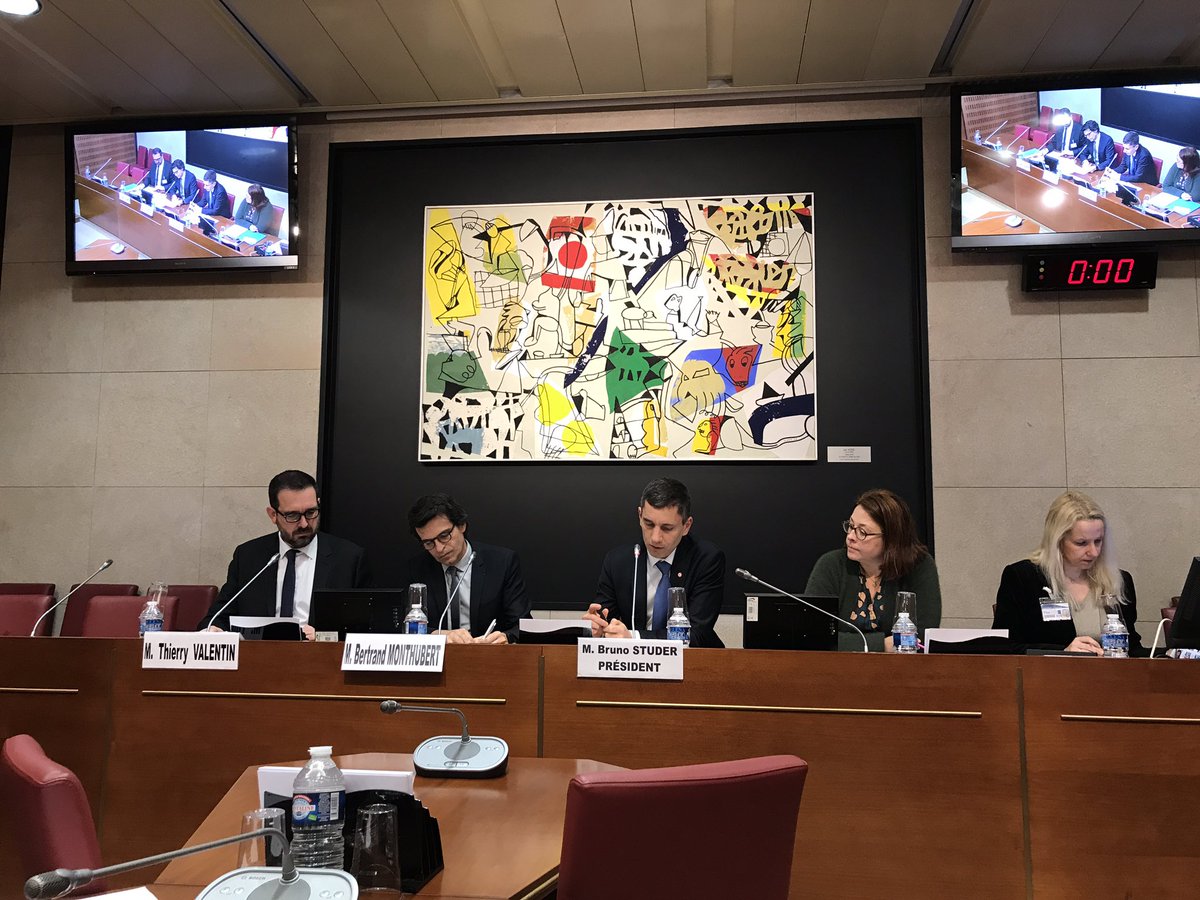 Au service de la jeunesse et du rayonnement international de la France, <a href="/CampusFrance/">Campus France</a> devant notre commission explique ses actions en faveur de la mobilité étudiante #SoftPower #FranceIsBack