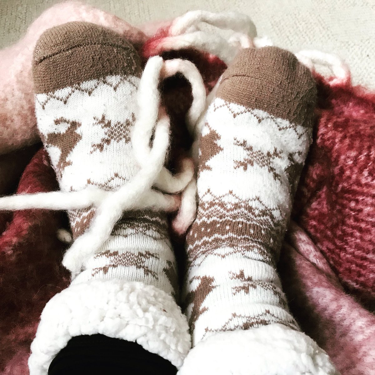 HopeSocks's tweet photo. Welke #socksofhope helpen jou de winter door? Morgen posten wij onze favoriete #wintersocksofhope #payitforward #checkhetmorgen https://t.co/OQwXXCJQuL