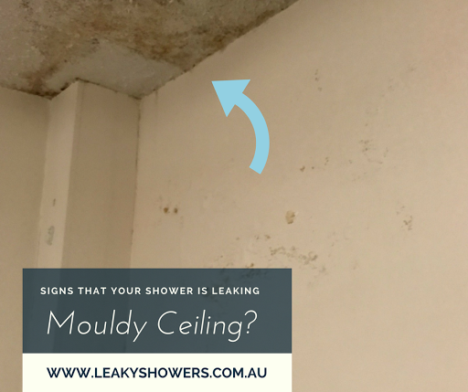 Mouldyceiling Hashtag On Twitter