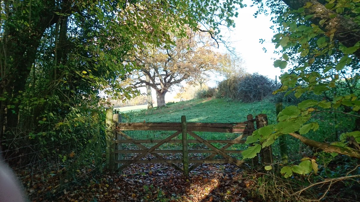 Freemaxx's tweet photo. Ah, Sussex! https://t.co/aVKUHRNkbn
