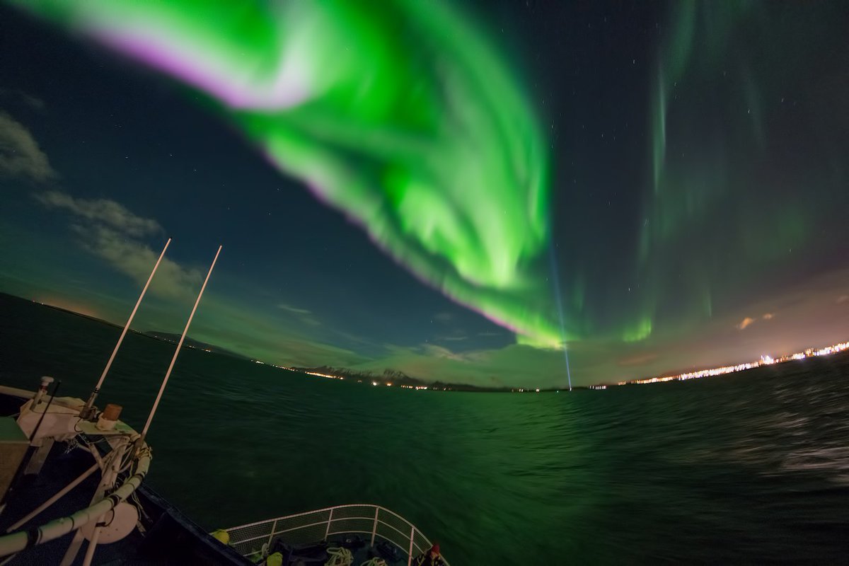 specialtours's tweet photo. We broke a personal record ! 15 nights in a row of clear skies for aurora viewing ! #Reykjavik #NorthernLights https://t.co/8STHEuEiuI