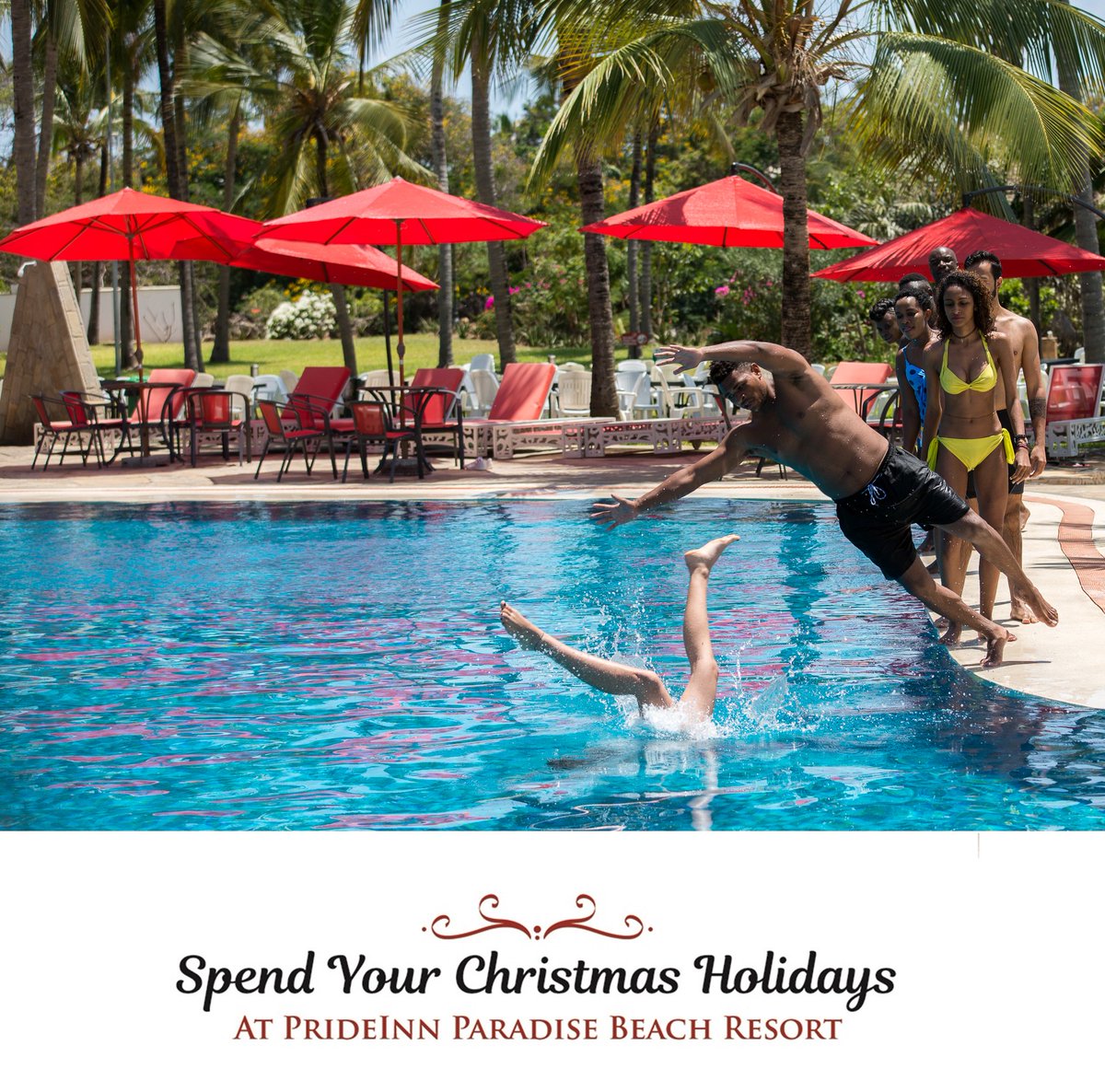 984inthemorning's tweet photo. Pride Inn Paradise Beach Resort is located on the North Coast, Shanzu Area, 40 minutes from the airport. #ChristmasAtPrideInn #SampleHeaven. https://t.co/edIsHEldvw