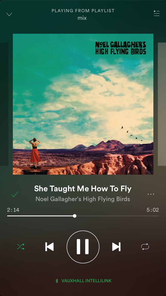 amycoombs89's tweet photo. @NoelGallagher YOU blow my mind #shetaughtmehowtofly #highflyingbirds #newrockandroll https://t.co/FgSGPmt3Tg