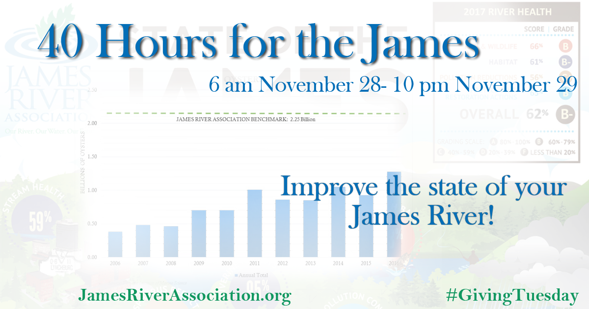 JRAvirginia's tweet photo. #Oyster reefs provide habitat & filter large amounts of water. They are only at 57% of JRA’s benchmark in the #stateoftheJames report. https://t.co/xcyANoVgMA #GivingTuesday #40Hours https://t.co/rOVmp18sT2