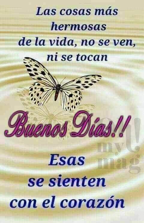 yo_majin's tweet photo. @ivonneferreras1 https://t.co/s6fsRbyobr